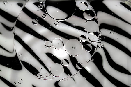 Riepilogo, bianco e nero, olio, acqua, stampa della zebra, impostazione predefinita, Close-up