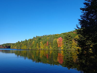 na podzim, podzim, řeka, Příroda, žlutá, listy, stromy