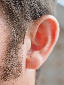 sideburns, ear, hair, person, human, auricle, whiskers