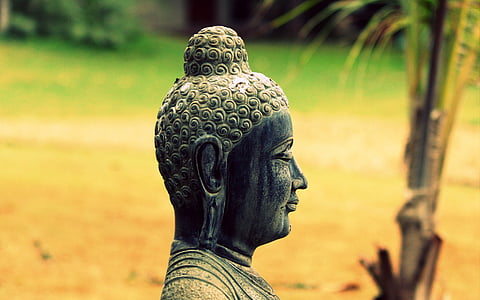 Pana Buddy, ogród, religia, Budda, posąg, Park, Buddyzm