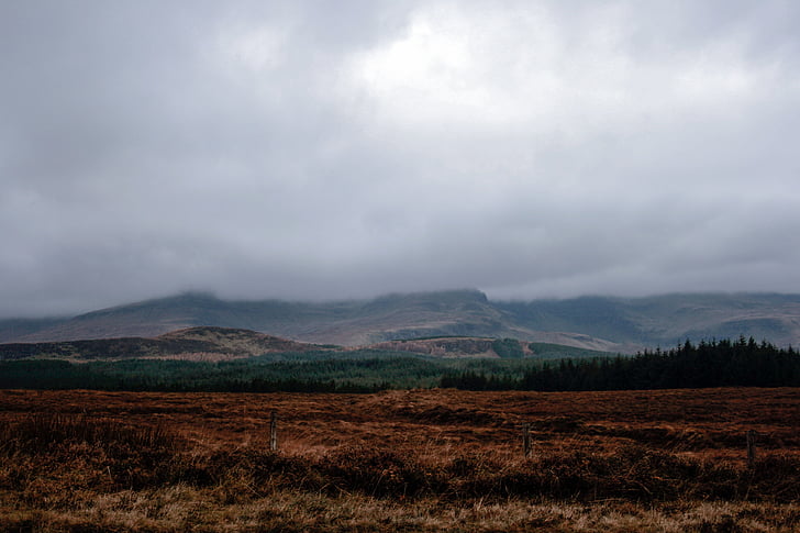 krajina, Foto, Hora, Highland, tráva, Příroda, strom
