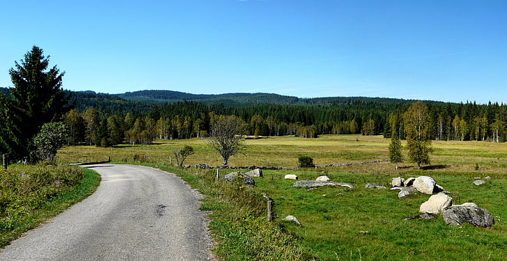 Šumava, Landschaft, Frieden, Tourismus, Natur, Grass, Wiese