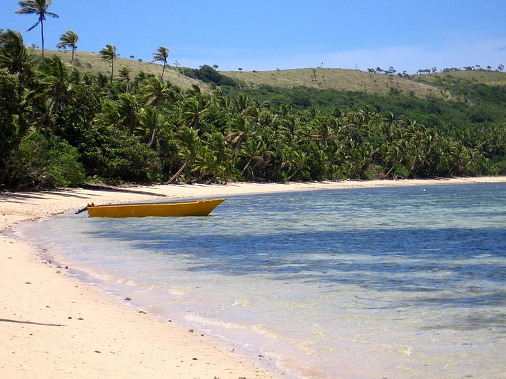 Fiji, boot, Pantai, pohon palem, liburan, liburan impian, perjalanan