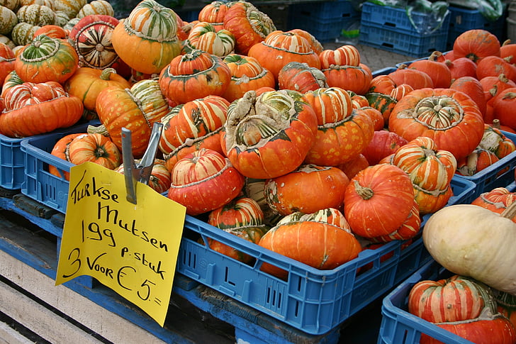 pumpkin, pumpkins, sale, nature, vegetables, food, autumn motives