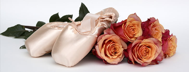 ballet shoes, dance, roses, flowers, coupon, elegance, header