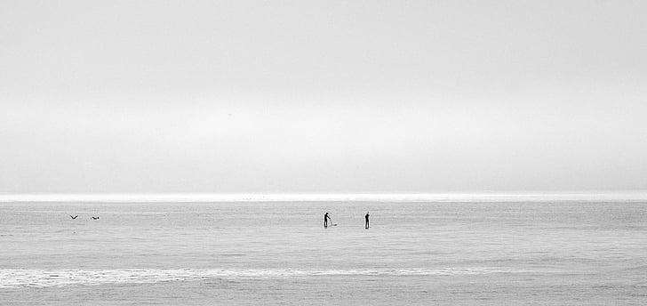 tons de cinza, fotografia, beira-mar, nublado, céu, oceano, mar