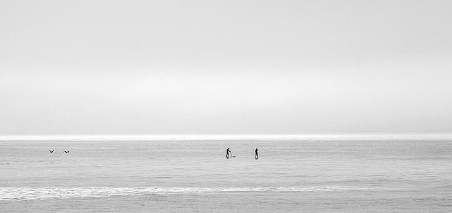 odtiene sivej, fotografovanie, Seashore, zamračené, Sky, Ocean, more