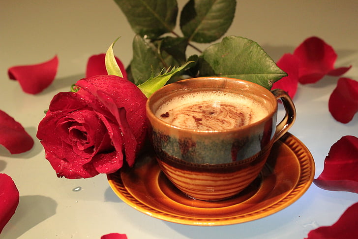 Rožė, kavos, puodelis, putų, gėrimas, žiedlapiai