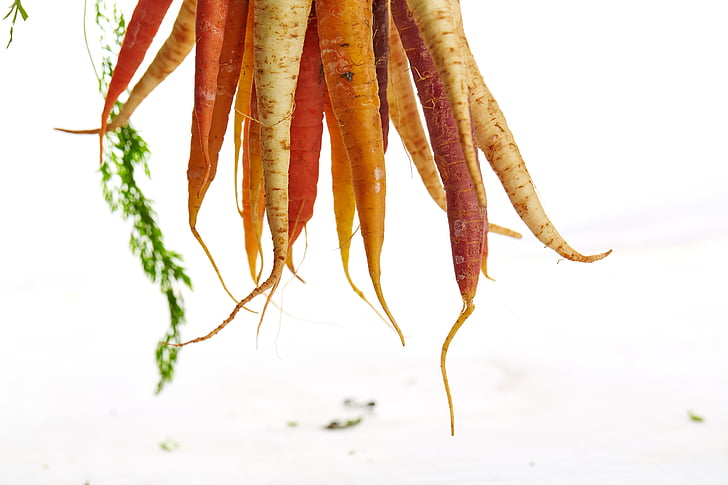 orange, carrots, day, time, vegetables, crops, harvest