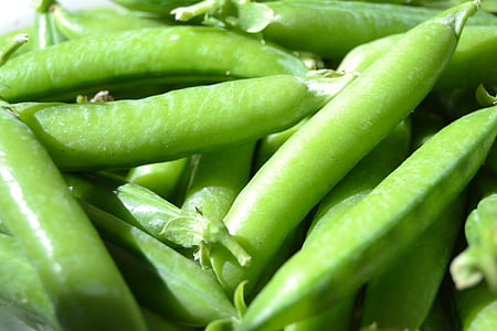 peas, autumn harvest, pea, vegetable, food, freshness, green Color