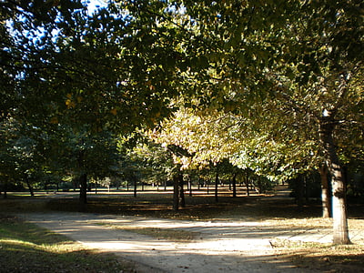 Валенсия, парк, Есен, rambleta, дърво, природата, листа