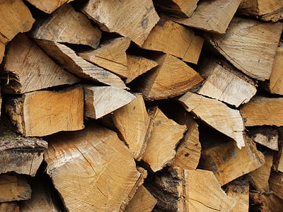 registros de, madera, áspero, patrón de, material, madera, árboles