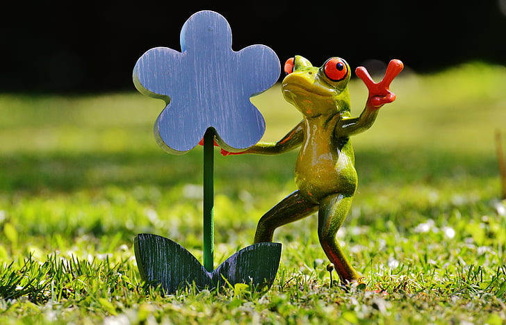 frog, flower, funny, sweet, cute, affection, gift