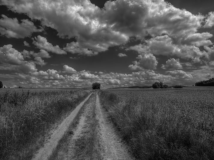 Lane, domaine, nature, nuages, atmosphère, été