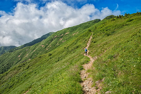 เดินป่า, ฮะคุซัง, อุทยานแห่งชาติ, เส้นทาง, ฤดูร้อน, ญี่ปุ่น, ภูเขา