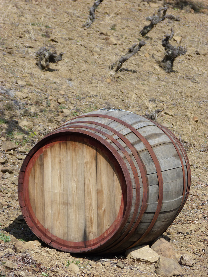 cask, vineyard, viticulture, wine