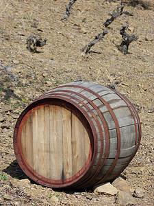 barrica, Viña, viticultura, vino