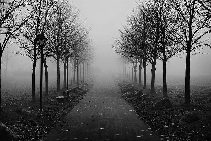 foggy sidewalk, morning, fog, sidewalk, pavement, city, outdoor