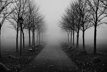 Туманный тротуар, утро, туман, тротуар, тротуар, город, Открытый