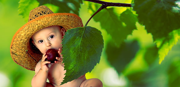 ฤดูร้อน, วิตามิน, ผลไม้, โภชนาการ, เด็ก, เด็ก, มีสุขภาพดี