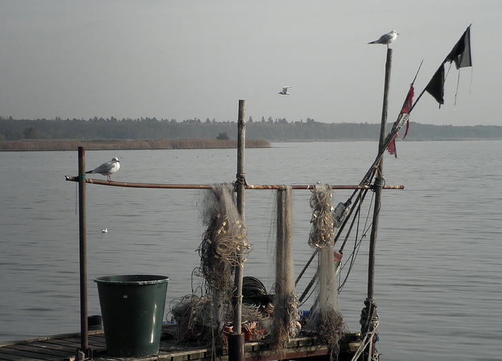 Риболов, мрежи, рибарска мрежа, порт, вода, Есен, чайки