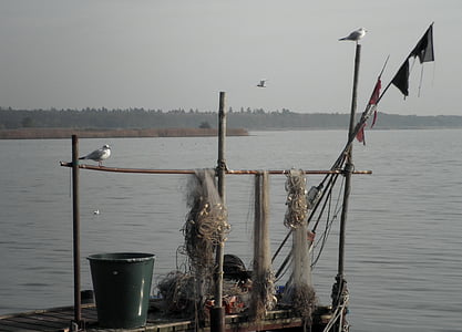 fishing, networks, fishing net, port, water, autumn, gulls