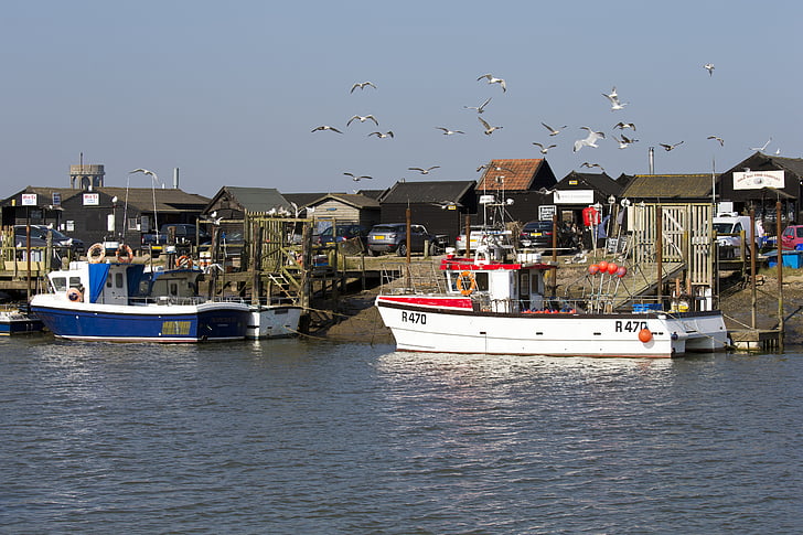 Puerto de Southwold, Suffolk, barcos de pesca, aves marinas, cobertizos de madera negro, café, efectos navales
