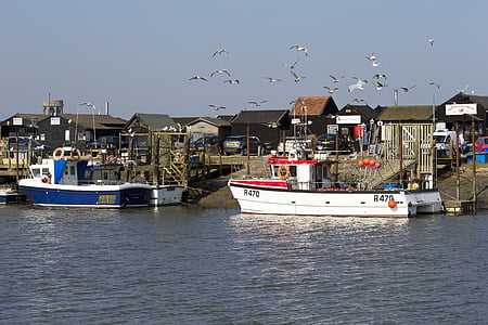 Southwold havn, Suffolk, fiskebåter, sjøfugl, svart tømmer kaster, kafé, Chandlers
