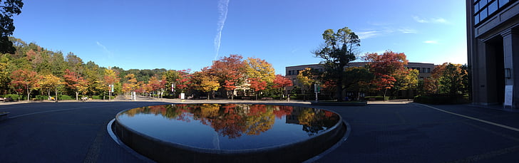 reflectie, fontein, plein, blauwe hemel, herfst bladeren, vernieuwen, ondersteboven