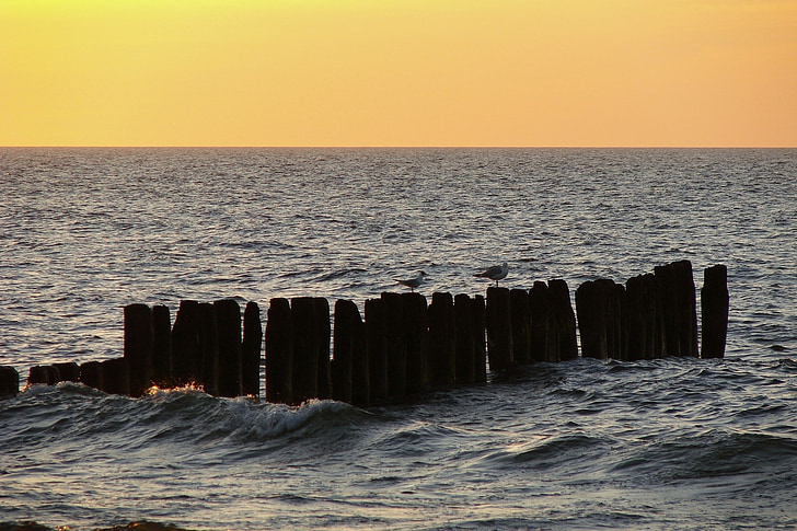 Mar, gavines, escullera, posta de sol, Mar Bàltic, horitzó, cel taronja
