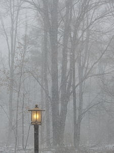 post, lumina, lampa, în afara, felinar stradal, copaci, natura