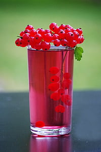 grosella, fruta, salud, Berry, racimo de uvas, jardín, rojo