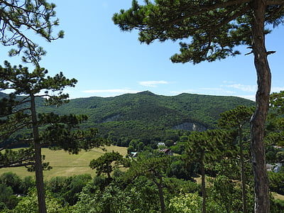 landscape, föhrenberge, hill land