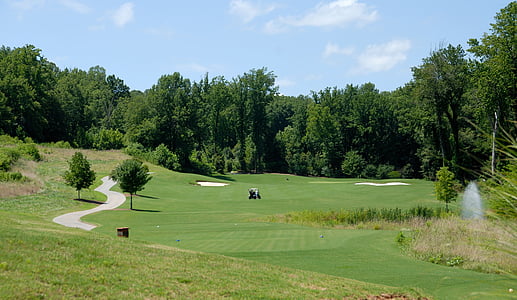 Golf, esport, verd, herba, joc, paisatge de camps de golf, cel