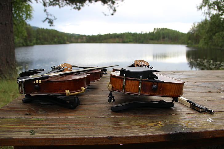 violins, nature, water