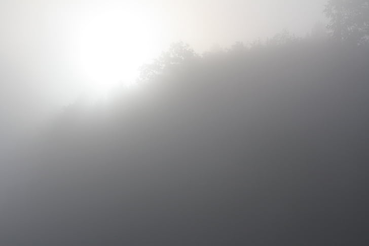 köd, reggeli nap, fátyol, ködös