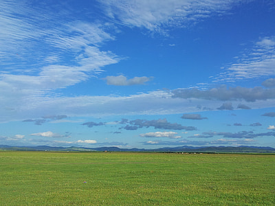 błękitne niebo i białe chmury, Prairie, Natura