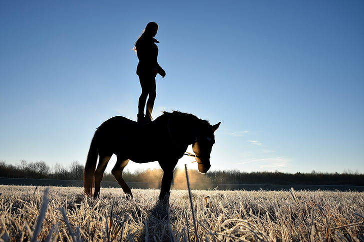 person on a horse, horse, reiter, human, silhouette, winter, ripe