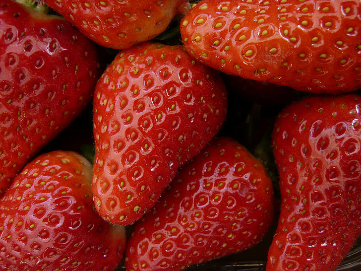 jordbær, jordbær, bær, frugt, Frisch, rød, mad