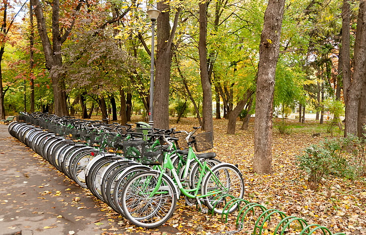 Велосипеды, Парк, образ жизни, досуг, Природа, Спорт, Велоспорт