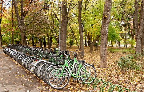kerékpárok, Park, életmód, szabadidő, természet, sport, kerékpározás