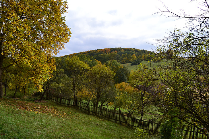 automne, paysage, nature, couleurs, collines, prés, Forest