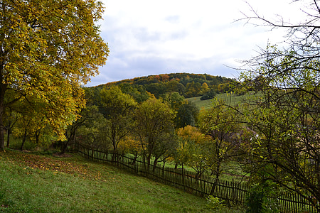 jesen, krajolik, priroda, boje, brda, livade, šuma