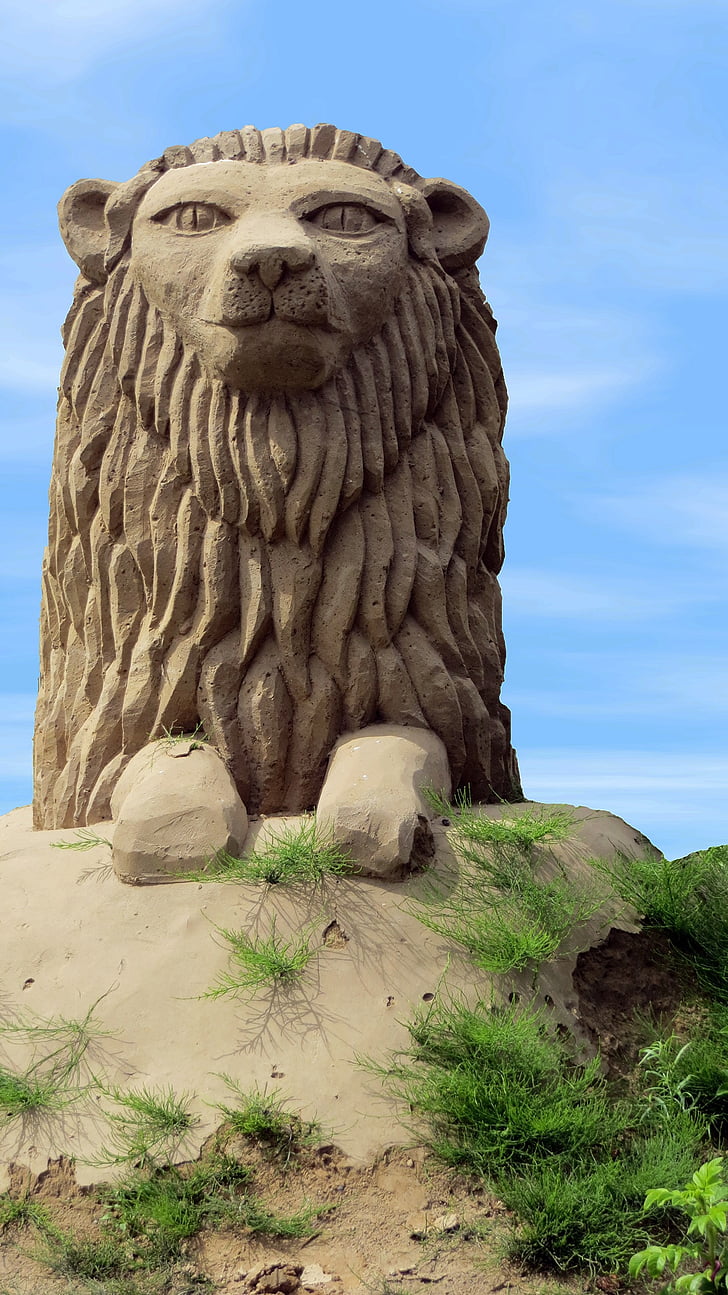 lion, sand sculpture, art, material, sandworld, sand picture, artwork