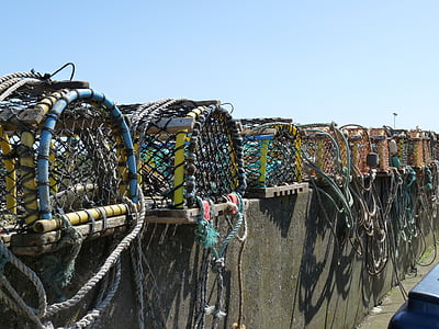 fish traps, sea, fish, fang, catch fish, scotland, fishing