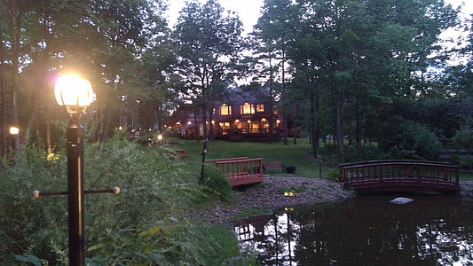 Lakeside, ngôi nhà, rừng, Buffalo, công viên, buổi tối, cây