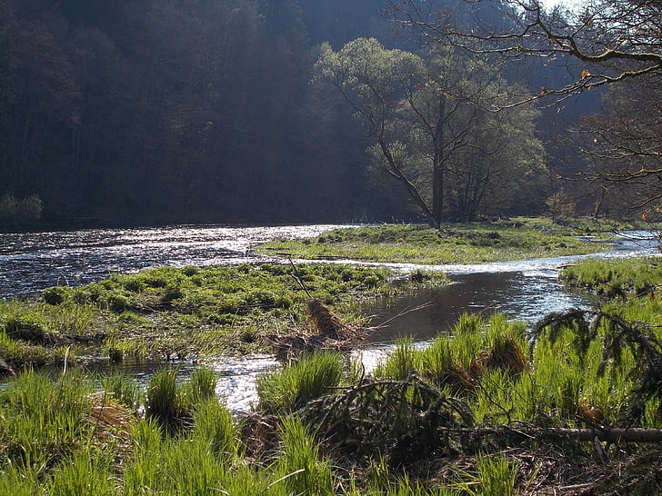 enregistrement de la nature, paysage de rivière, Bien sûr, reste, eaux