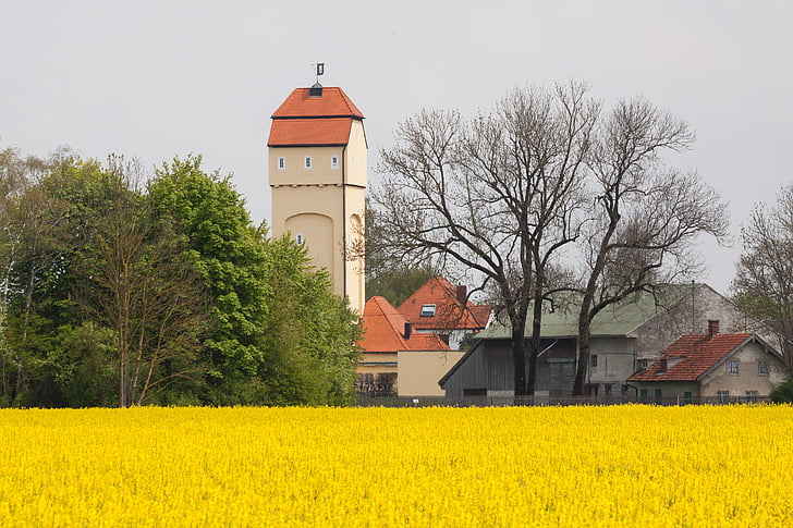 water tower, oilseed rape, field of rapeseeds, tree, nature, spring, may