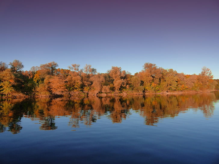 Есен, вода, стар Рейн, reffenthal, природата, пейзаж, Есенни листи