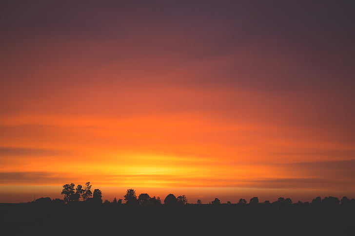 silhouette, photo, orange, sunset, sky, tree, dusk